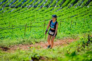 BIB: 1509, 
                            <button type="button" onclick="openModal(19163543)" class="btn btn-primary btn-sm float-right btn-popup" data-toggle="modal" data-target=".modal-high-quality">
                        <i class="fas fa-shopping-cart"></i> Add to Cart
                    </button>
                                            <button type="button" onclick="isThisMe(19163543, true)" class="btn btn-success btn-sm float-right btn-popup btn-isme hidden" data-toggle="tooltip" data-placement="bottom" title="นี่คือรูปของคุณใช่ไหม คลิกที่นี่เพื่อเอาเข้าอัลบั้ม">
                        <i class="fas fa-plus"></i> Add to album
                    </button>
                    <button type="button" onclick="isThisMe(19163543, false)" class="btn btn-warning btn-sm float-right btn-popup btn-isnotme hidden">
                        <i class="fas fa-ban"></i> Remove from album
                    </button>